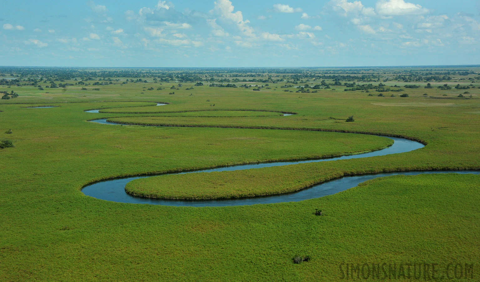 Okavango Delta May 2014 [52 mm, 1/4000 sec at f / 8.0, ISO 1600]